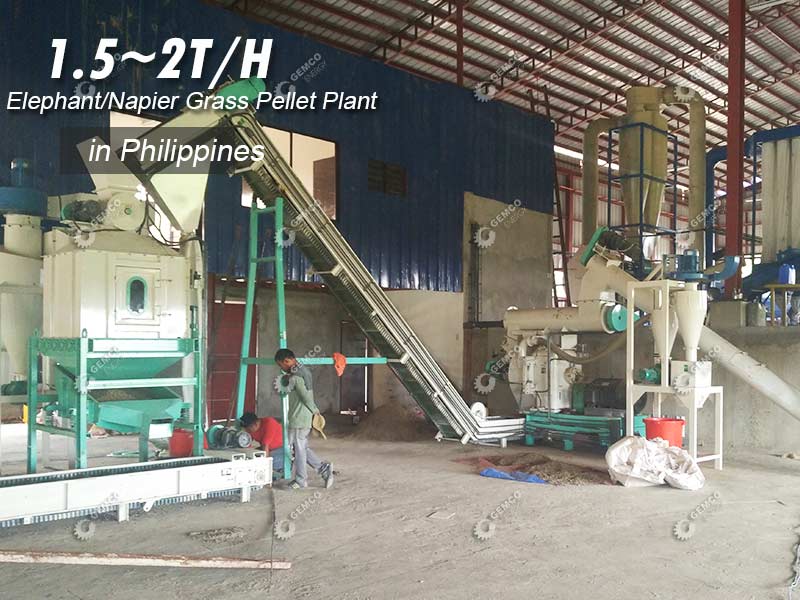 2tph elephant grass pellet production plant setup in Philippines