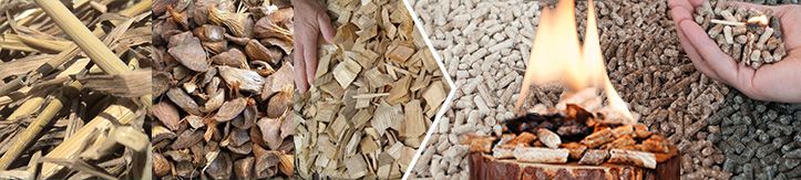 Biomass Pellet Raw Materials