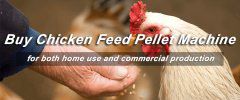 Use Poultry Feed Pellet Machine to Make Delicious Chicken Feed Pellets