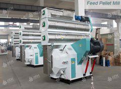 Cattle Feed Mill Making Feed Pellets for Dairy & Beef Cattle