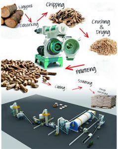 large pellet production line (ring die type)