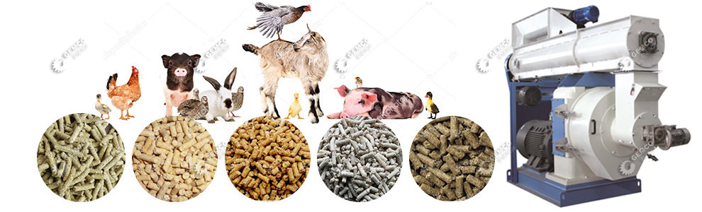 making poultry feed and livestock feed
