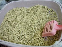 pellet cat litter