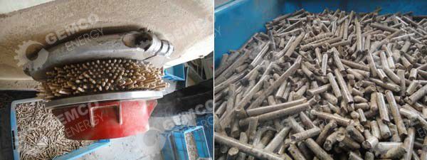 pine wood pellets