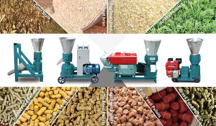 poultry feed mills