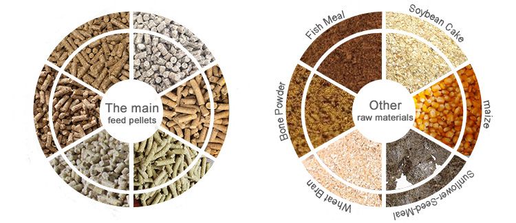 Poultry Feed Pellet Making Requirements