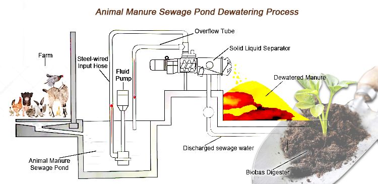 Small Manure Drying Machine