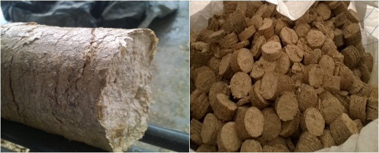 wood briquettes produced by briquetting plant for sales