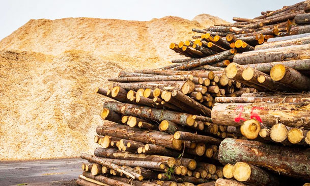 wood waste for biomass pelletizing